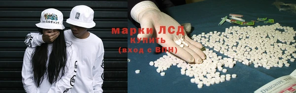 сатива Беломорск