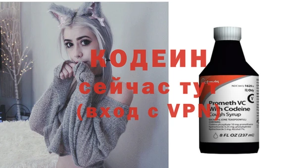 сатива Беломорск