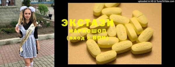 гашик Пересвет