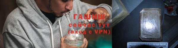 сатива Беломорск
