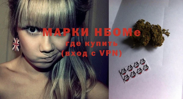 сатива Беломорск