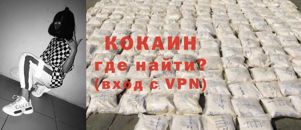 сатива Беломорск