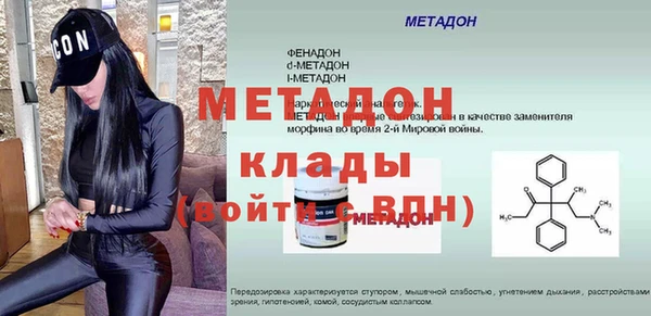 сатива Беломорск